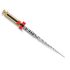 PROTAPER NEXT LIMA X2 - 31MM  