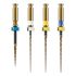 LIMAS HYFLEX OGSF SORTIDO
