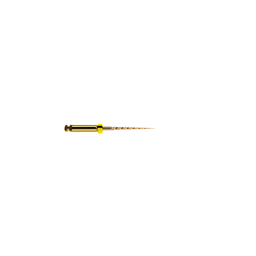 PROTAPER GOLD 19MM SX