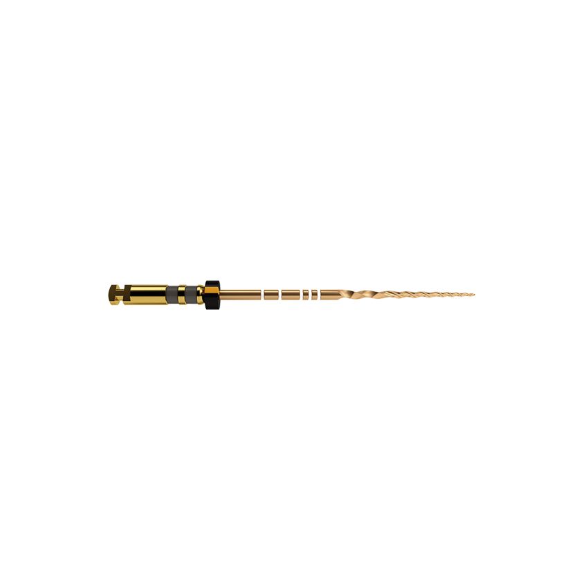 PROTAPER GOLD LIMA F4 - 2