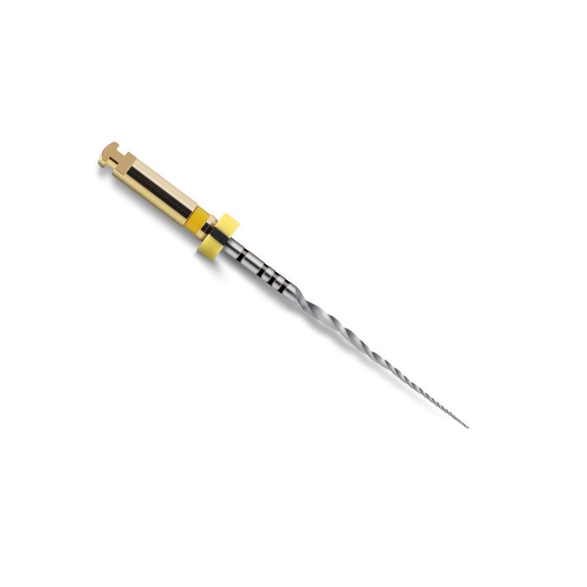 PROTAPER NEXT LIMA X1 - 21MM 