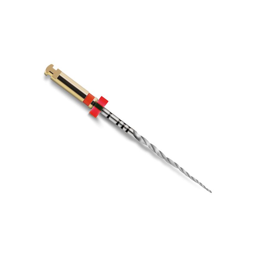 PROTAPER NEXT LIMA X2 - 21MM 