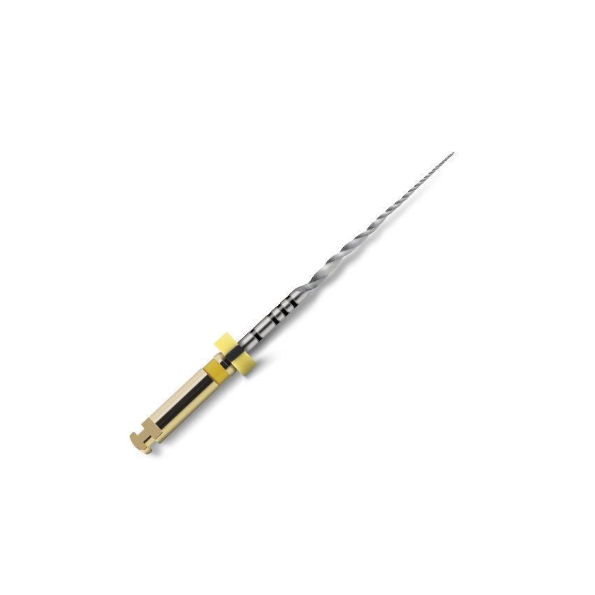 PROTAPER NEXT LIMA X1 - 31MM  