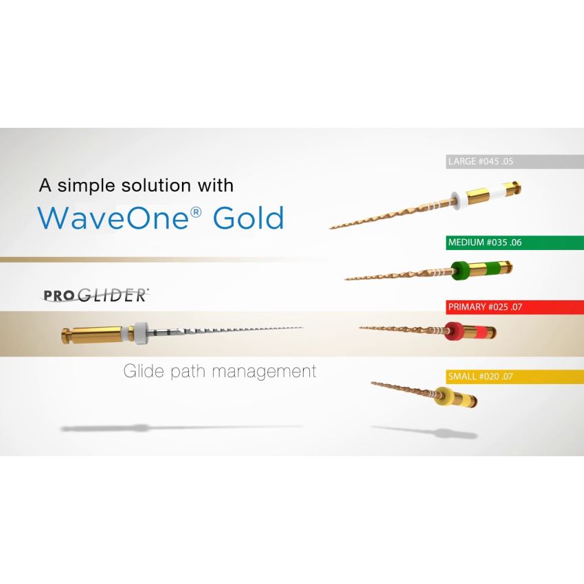 WAVE ONE GOLD LIMA GLIDER