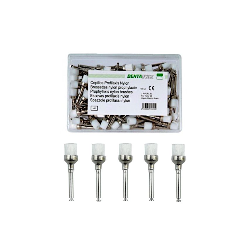 Escovas Nylon cx.100